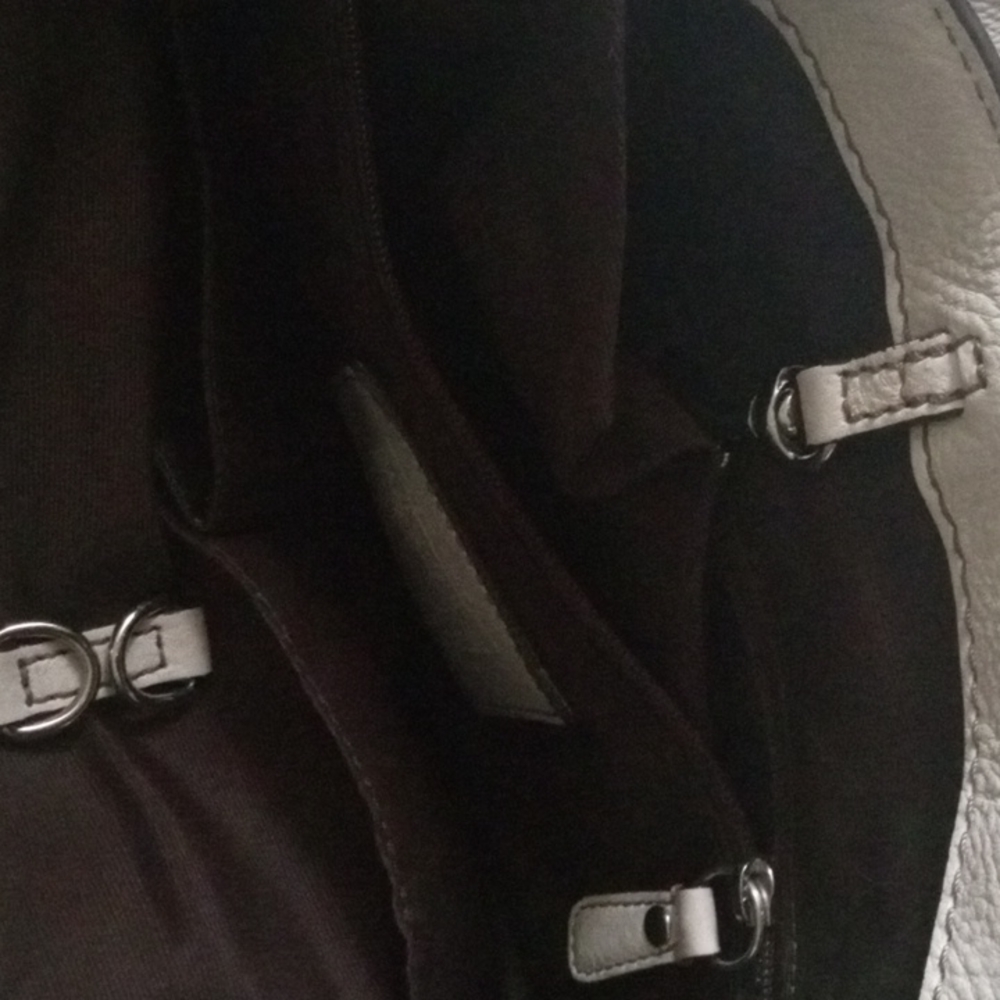 Coach Signature C Python Middle Bag - image 6